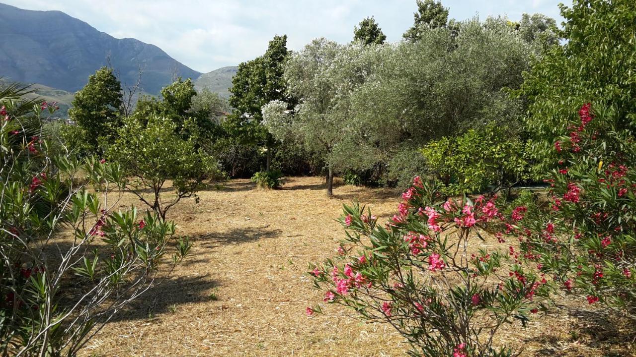 La Marina Gardens Beach Скаури Экстерьер фото